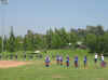 CIF2Picture 036.jpg (36452 bytes)